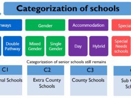 Master Guide: C1, C2, C3, and C4 Senior Schools in Kenya (CBC Grade 10 Selection)